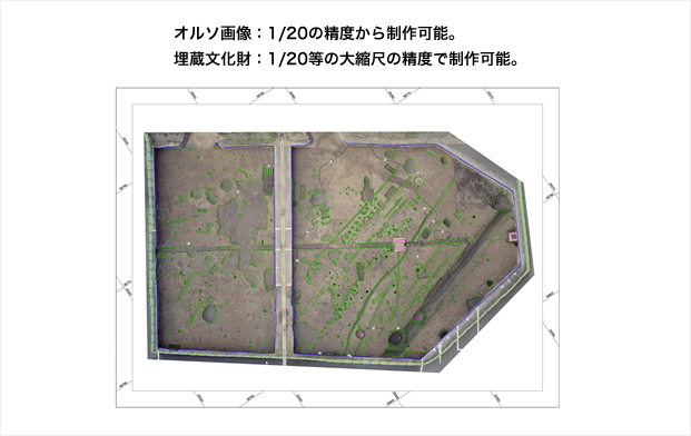 オルソ―画像　1/20の精度から制作可能。