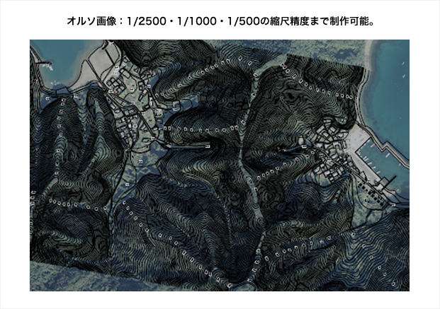1/2500・1/1000・1/500の縮尺精度まで制作可能。
