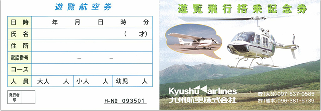 遊覧航空券